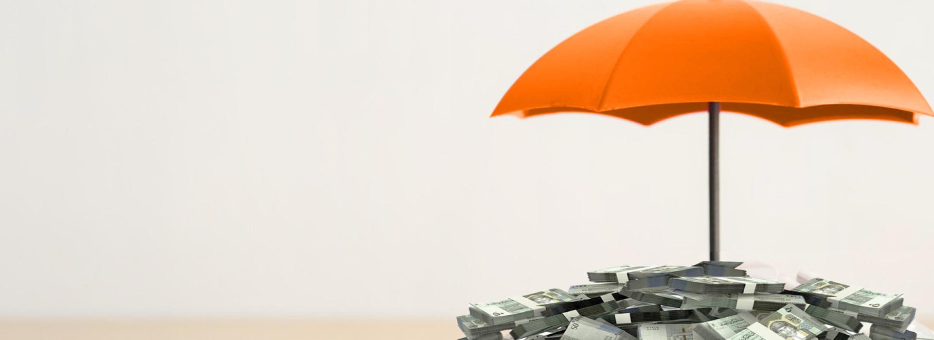 Credit Insurance banner(1).jpg